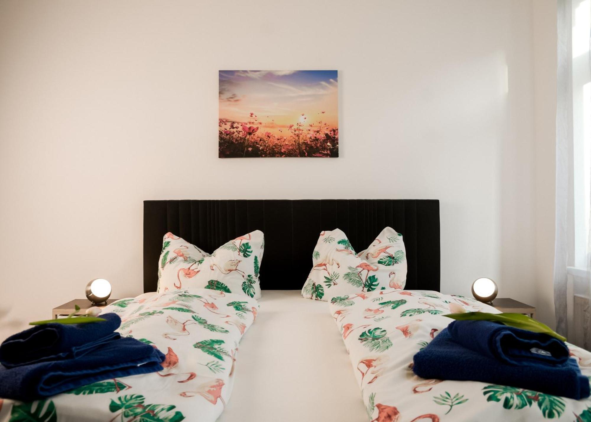 דרזדן Apartmenthaus Sternstrasse מראה חיצוני תמונה